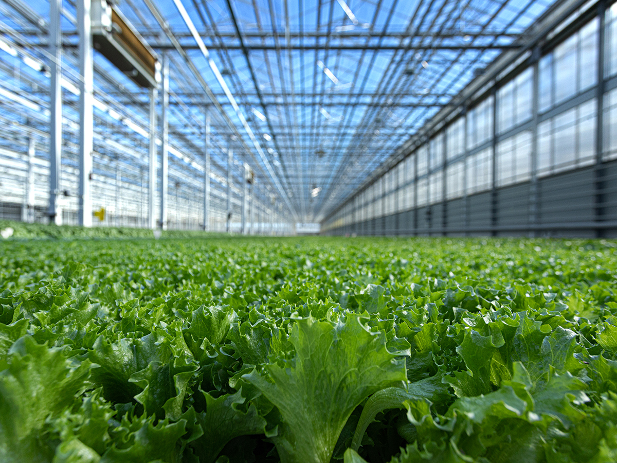 Agricultural Technology
